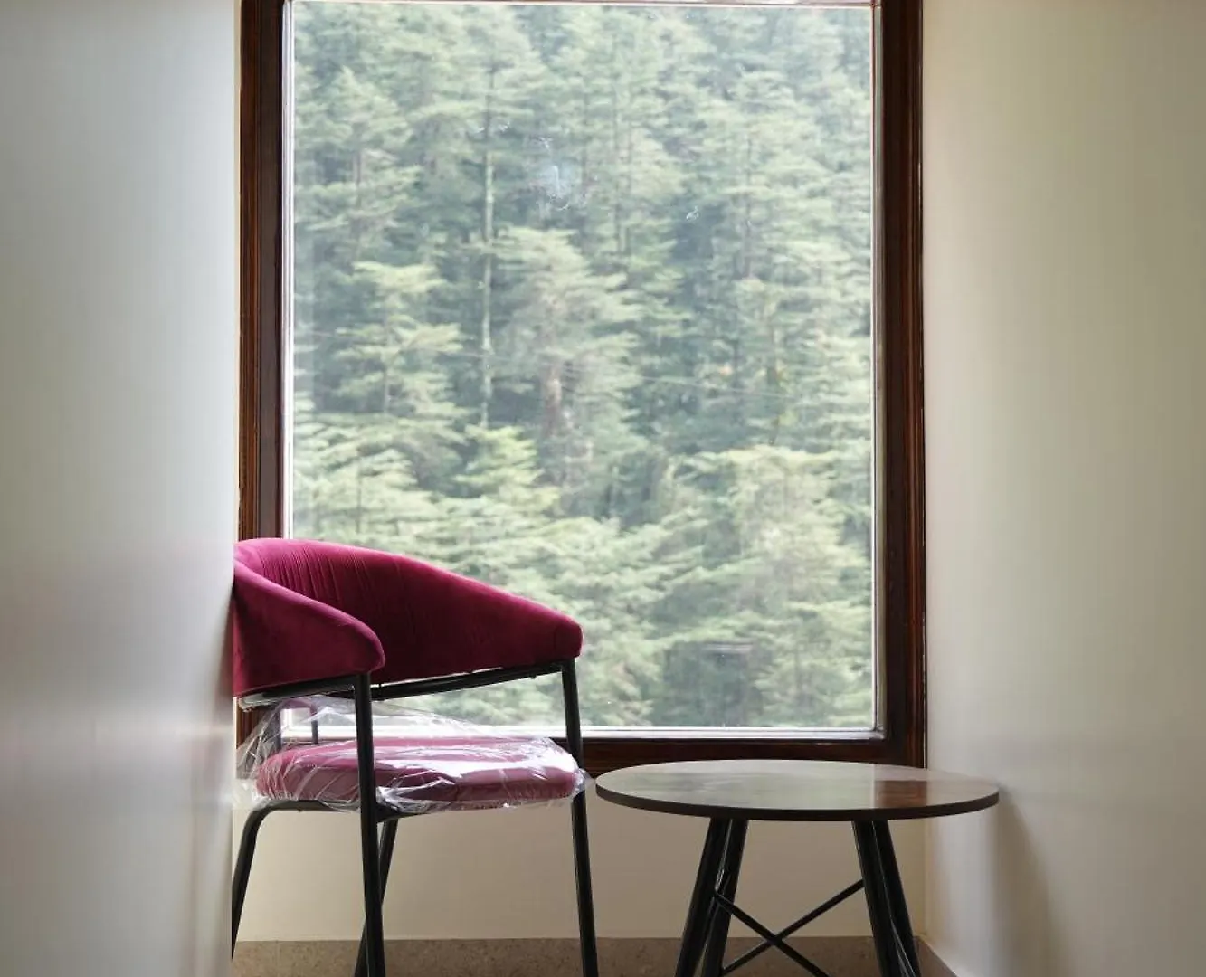 Hotel Nature'S Nest Shimla